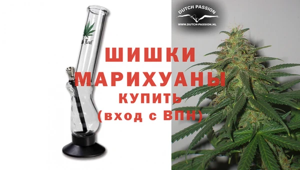 гидропоника Гусиноозёрск