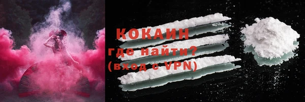 гидропоника Гусиноозёрск