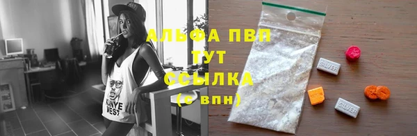 гидропоника Гусиноозёрск