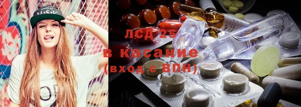 сатива Магадан