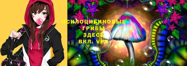 гашик Гусев