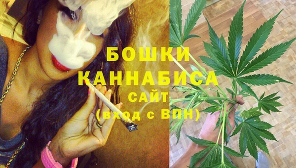 гидропоника Гусиноозёрск