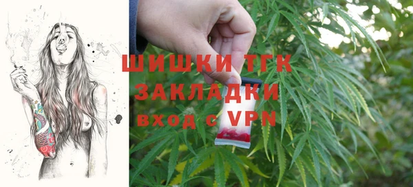 гашик Гусев