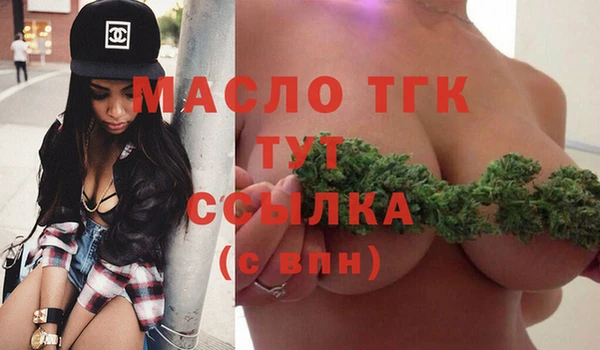 гашик Гусев