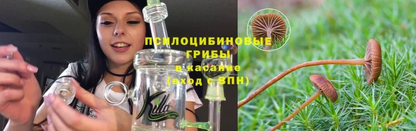 a pvp Магас