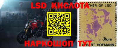 гашик Аргун