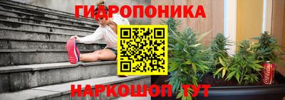 ПСИЛОЦИБИНОВЫЕ ГРИБЫ Апшеронск