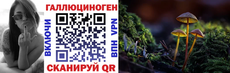 Галлюциногенные грибы мухоморы  где продают наркотики  Нерюнгри 