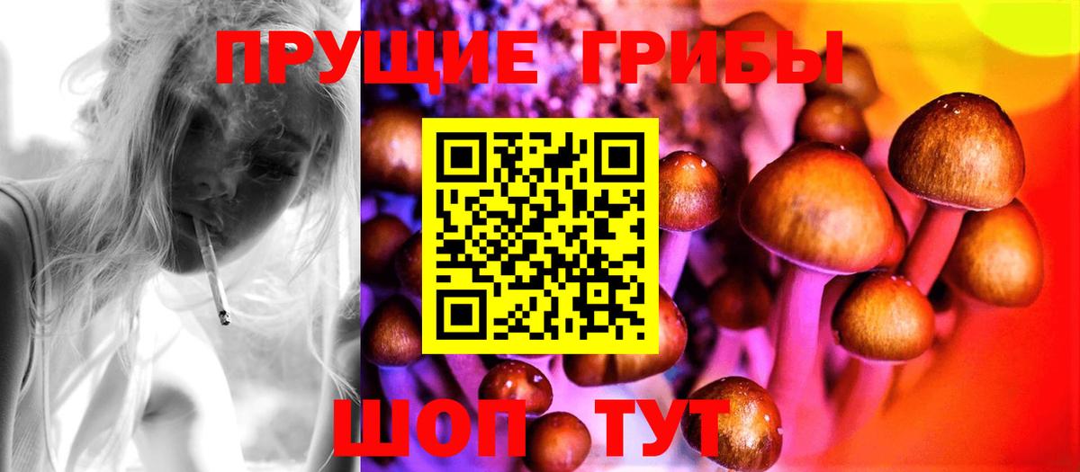 Галлюциногенные грибы Psilocybe Нерюнгри