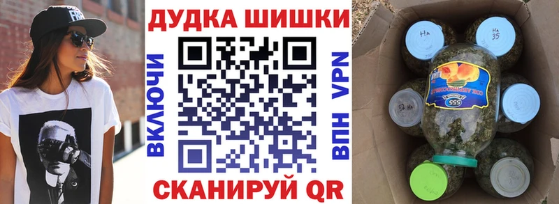 продажа наркотиков  Нерюнгри  Бошки марихуана план 